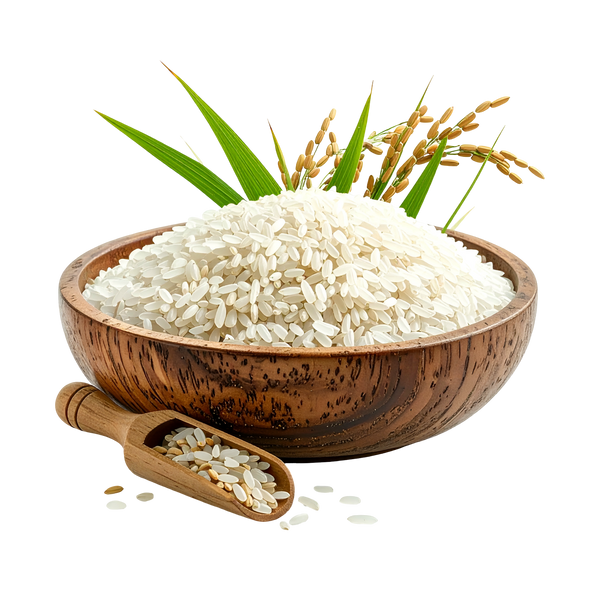 Rice Extract